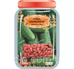 Огірок Конкурент (45-55 шт.) дражоване насіння Яскрава Огірок Конкурент (45-55 шт.) дражоване насіння Яскрава