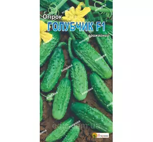 Огірок Голубчик F1 0,5 г, насіння Яскрава Огірок Голубчик F1 0,5 г, насіння Яскрава