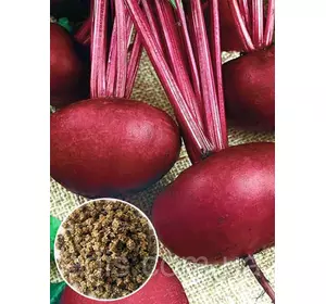 Буряк столовий Єгипетський Плаский 100 г, вагове насіння Яскрава Буряк столовий Єгипетський Плаский 100 г, вагове насіння Яскрава