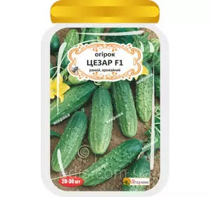 Огірок Цезар F1 (20-30 шт.) дражоване насіння Огірок Цезар F1 (20-30 шт.) дражоване насіння
