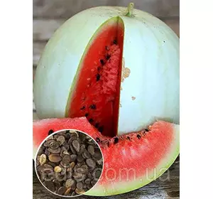 Кавун Цельнолистий 100 г, насіння Яскрава Кавун Цельнолистий 100 г, насіння Яскрава