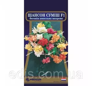 Бегонія ампельна махрова Шансон Суміш F1 10 насінин в оболонці, Яскрава PREMIUM Бегонія ампельна махрова Шансон Суміш F1 10 насінин в оболонці, Яскрава PREMIUM