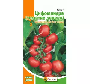 Томат Цифомандра (томатне дерево) 3 г, насіння Яскрава Томат Цифомандра (томатне дерево) 3 г, насіння Яскрава
