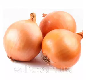 Цибулю севок Коррадо (Corrado) 8/16 0.5 кг Цибулю севок Коррадо (Corrado) 8/16 0.5 кг