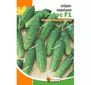 Огірок корнішон Руфус F1 5 г, насіння Яскрава Огірок корнішон Руфус F1 5 г, насіння Яскрава