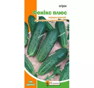 Огірок Фенікс плюс 5 г, насіння Яскрава Огірок Фенікс плюс 5 г, насіння Яскрава