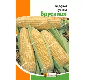 Кукурудза Брусниця 20 г, насіння Яскрава Кукурудза Брусниця 20 г, насіння Яскрава