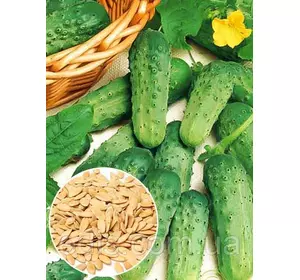 Огірок Паризький корнішон 50 г, вагове насіння Яскрава Огірок Паризький корнішон 50 г, вагове насіння Яскрава