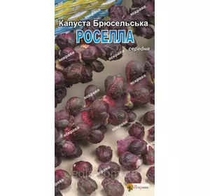 Капуста брюссельська Роселла (червона) 0,5 г, насіння Яскрава Капуста брюссельська Роселла (червона) 0,5 г, насіння Яскрава