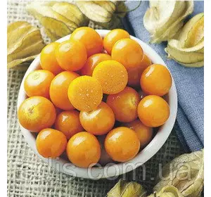 Фізаліс овочевий Амарилла 0,3 р. насіння Яскрава Фізаліс овочевий Амарилла 0,3 р. насіння Яскрава