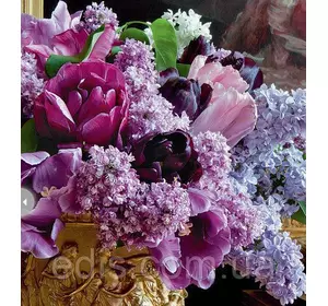 Набір цибулин квітів Бузок 7 цибулин тюльпанів Набір цибулин квітів Бузок 7 цибулин тюльпанів