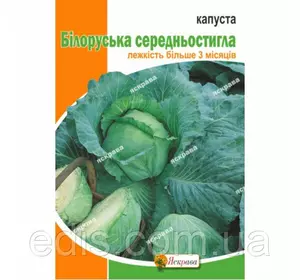 Капуста білоголова Білоруська 10г, насіння Яскрава Капуста білоголова Білоруська 10г, насіння Яскрава