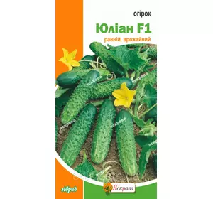 Огірок Юліан F1 0,5 г, насіння Яскрава Огірок Юліан F1 0,5 г, насіння Яскрава
