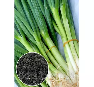 Цибуля Батун 100 г, вагове насіння Яскрава Цибуля Батун 100 г, вагове насіння Яскрава