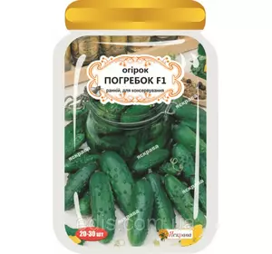 Огірок Погребок F1 (20-30 шт.) дражоване насіння Яскрава Огірок Погребок F1 (20-30 шт.) дражоване насіння Яскрава