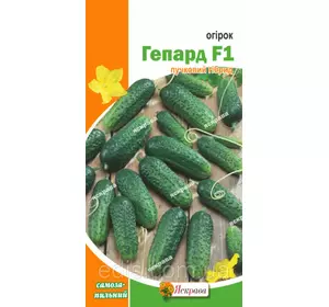 Огірок Гепард F1 (самозапильний) 0.3 г, насіння Яскрава Огірок Гепард F1 (самозапильний) 0.3 г, насіння Яскрава