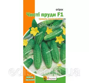 Огірок Чисті пруди F1 (букетний, самозапильний) F1 0,3 г, насіння Яскрава Огірок Чисті пруди F1 (букетний, самозапильний) F1 0,3 г, насіння Яскрава