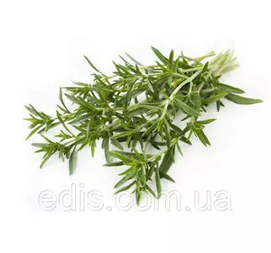 Чабер 0,5 г Чабер 0,5 г