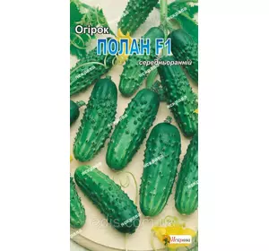 Огірок Полан F1 0,5 г, насіння Яскрава Огірок Полан F1 0,5 г, насіння Яскрава
