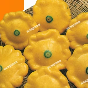 Насіння патисона Насіння патисона