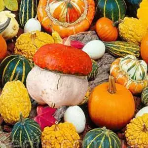 Насіння квітів та декоративних трав Насіння квітів та декоративних трав