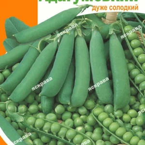 Насіння гороху овочевого Насіння гороху овочевого