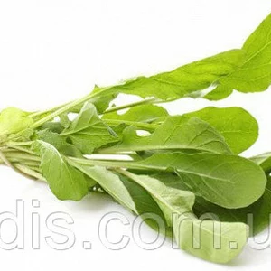 Насіння руколи Насіння руколи