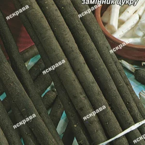 Насіння скорцонеры Насіння скорцонеры