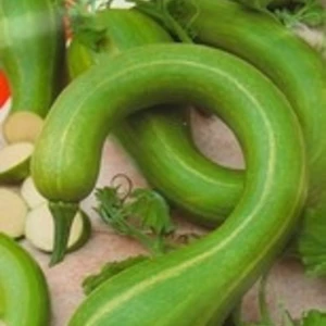 Насіння лагенарії Насіння лагенарії