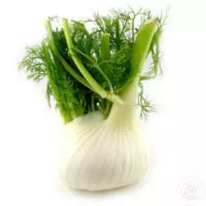 Насіння фенхелю Насіння фенхелю