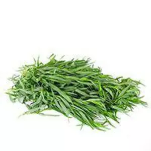 Насіння естрагону Насіння естрагону