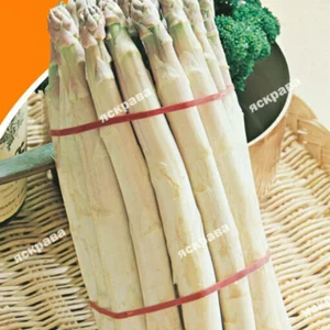 Насіння спаржі Насіння спаржі