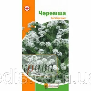 Насіння черемші Насіння черемші