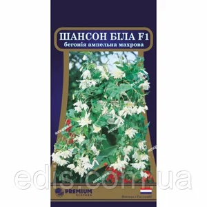 Насіння бегонії Насіння бегонії