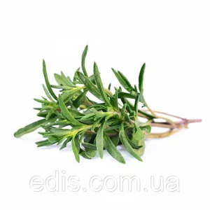 Насіння кмину Насіння кмину