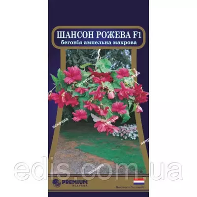 Бегония ампельная махровая Шансон Розовая F1 10 семян в оболочке, PREMIUM Яскрава