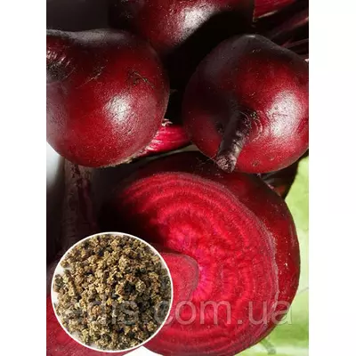 Свекла столовая Красний Шар 100 г, вагове насіння Яскрава