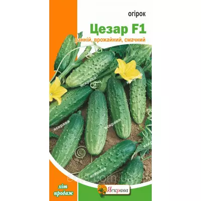 Огірок Цезар F1 0,5 г, насіння Яскрава