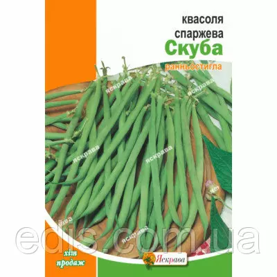 Квасоля Скуба спаржева зелена кущова, 10 г, насіння Яскрава