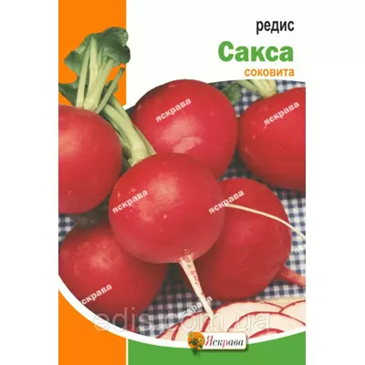 Редис Сакса 10 г, насіння Яскрава