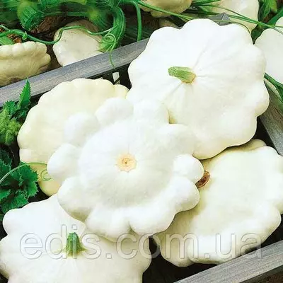 Патісон Білий Диск 2 г, насіння Яскрава