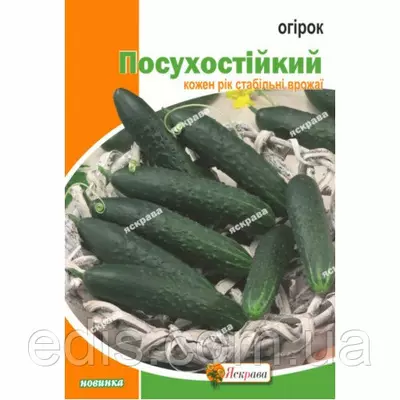 Огірок Посухостійкий 5 г, насіння Яскрава