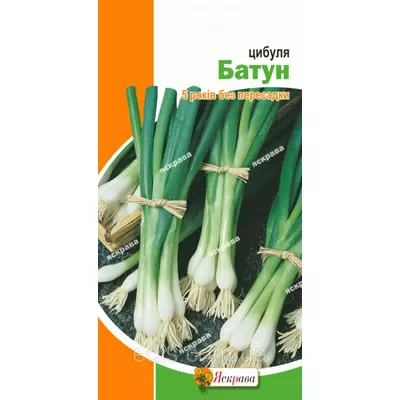 Цибуля Батун 1 г, насіння Яскрава
