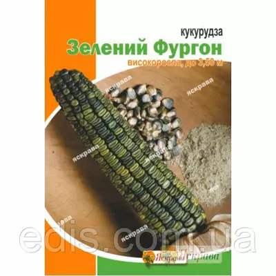 Кукурудза цукрова зелена Зелений фургон 10 г, насіння Яскрава