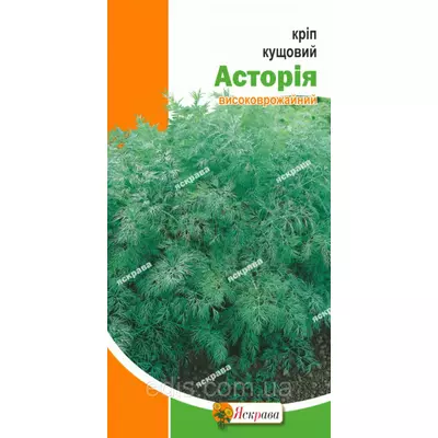 Кріп кущовий Асторія 5 г, насіння Яскрава