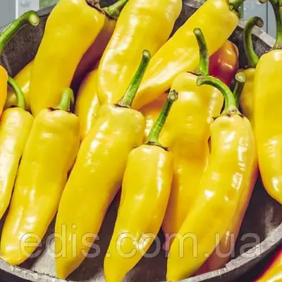 Перець гострий РумунськИЙ жовтий 0,2 г насіння Яскрава