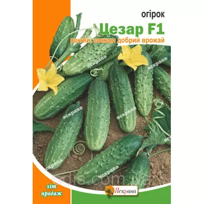 Огірок Цезар F1 2,5 г, насіння Яскрава