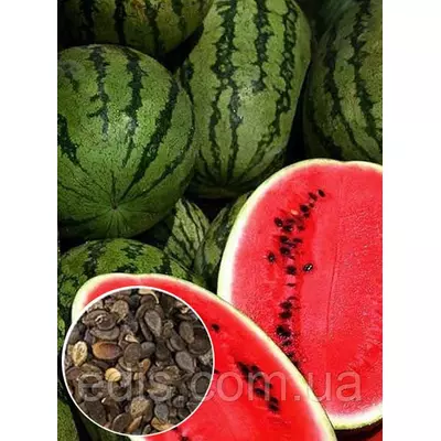 Кавун Кримсон Світ 100 г, вагове насіння Яскрава