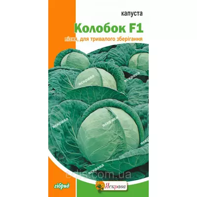 Капуста білоголова Колобок F1 0,5 г, насіння Яскрава