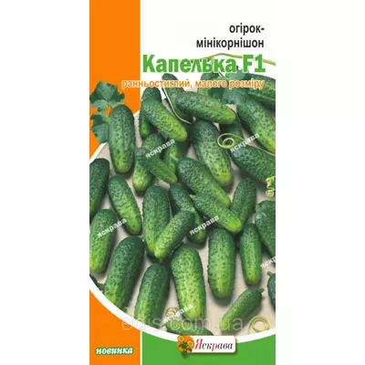 Огірок Капелька F1 (мінікорнішон, для засолювання і консервування) 0,5 г, насіння Яскрава